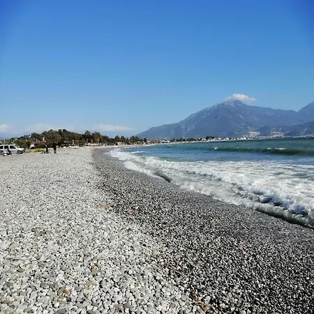 #ilk Bahar * Φετιγιέ